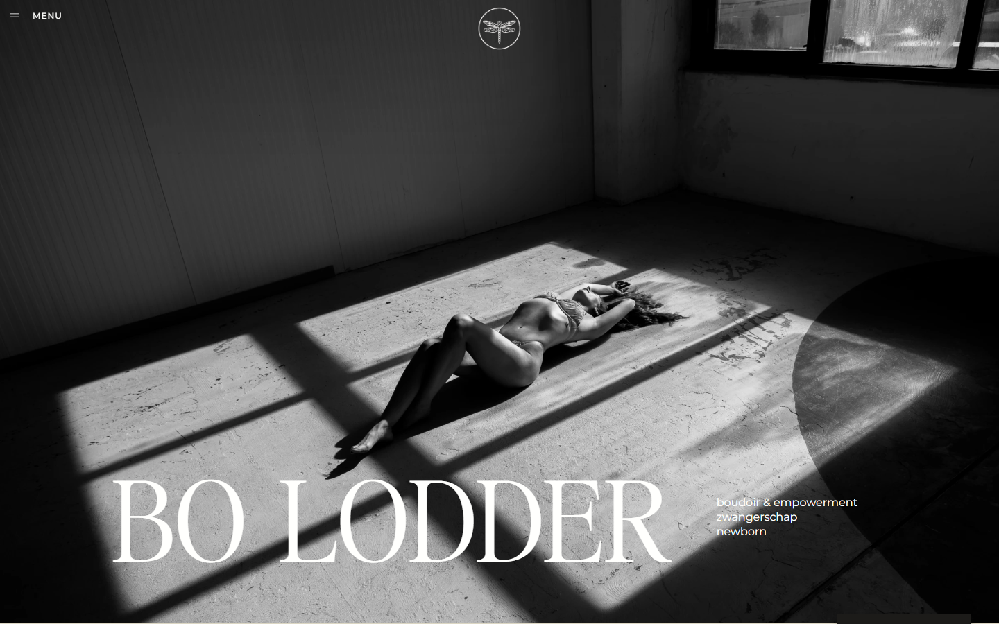 Website van Bo Lodder
